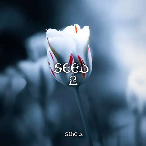 Disruption (SEED02)